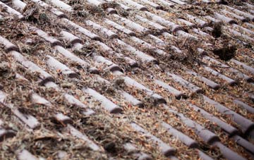 Heaviley roof cleaning companies